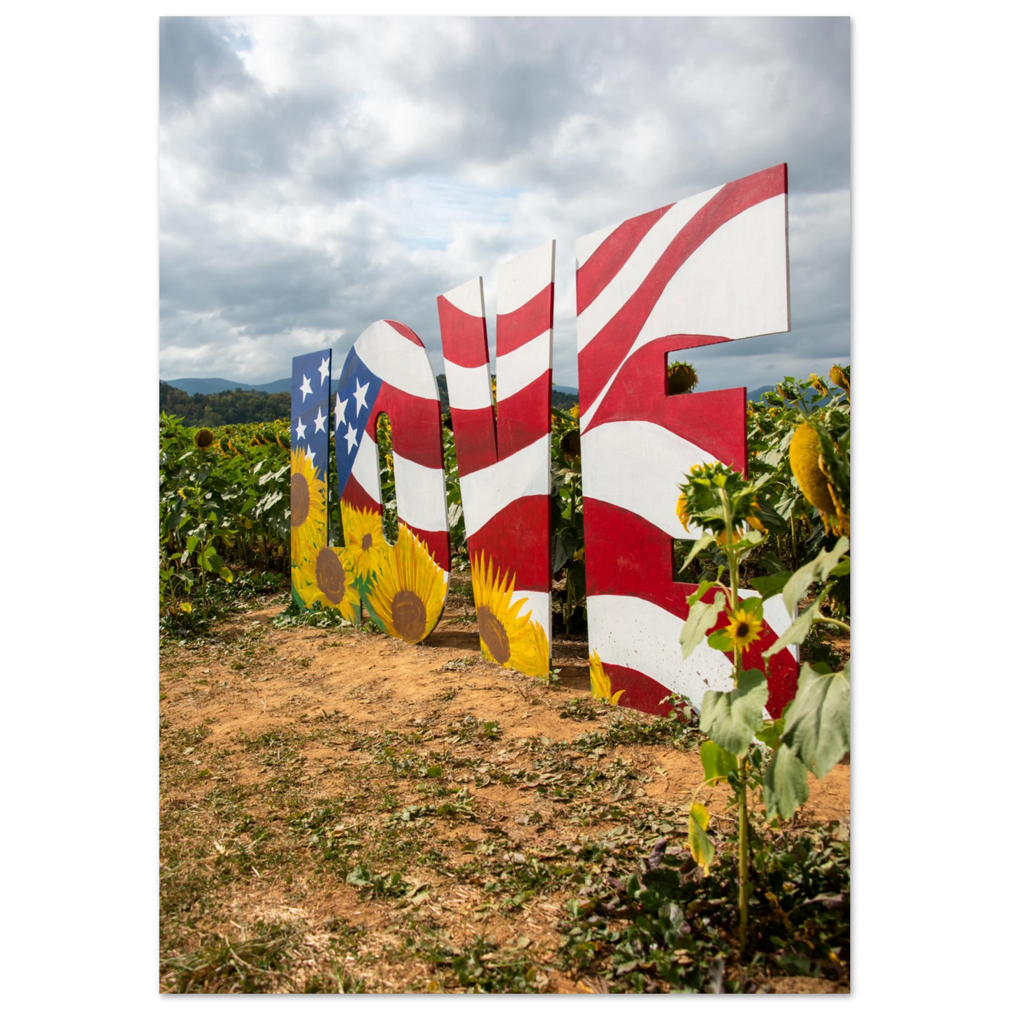 1c259071-08b5-47da-b28f-b37bd858bbce