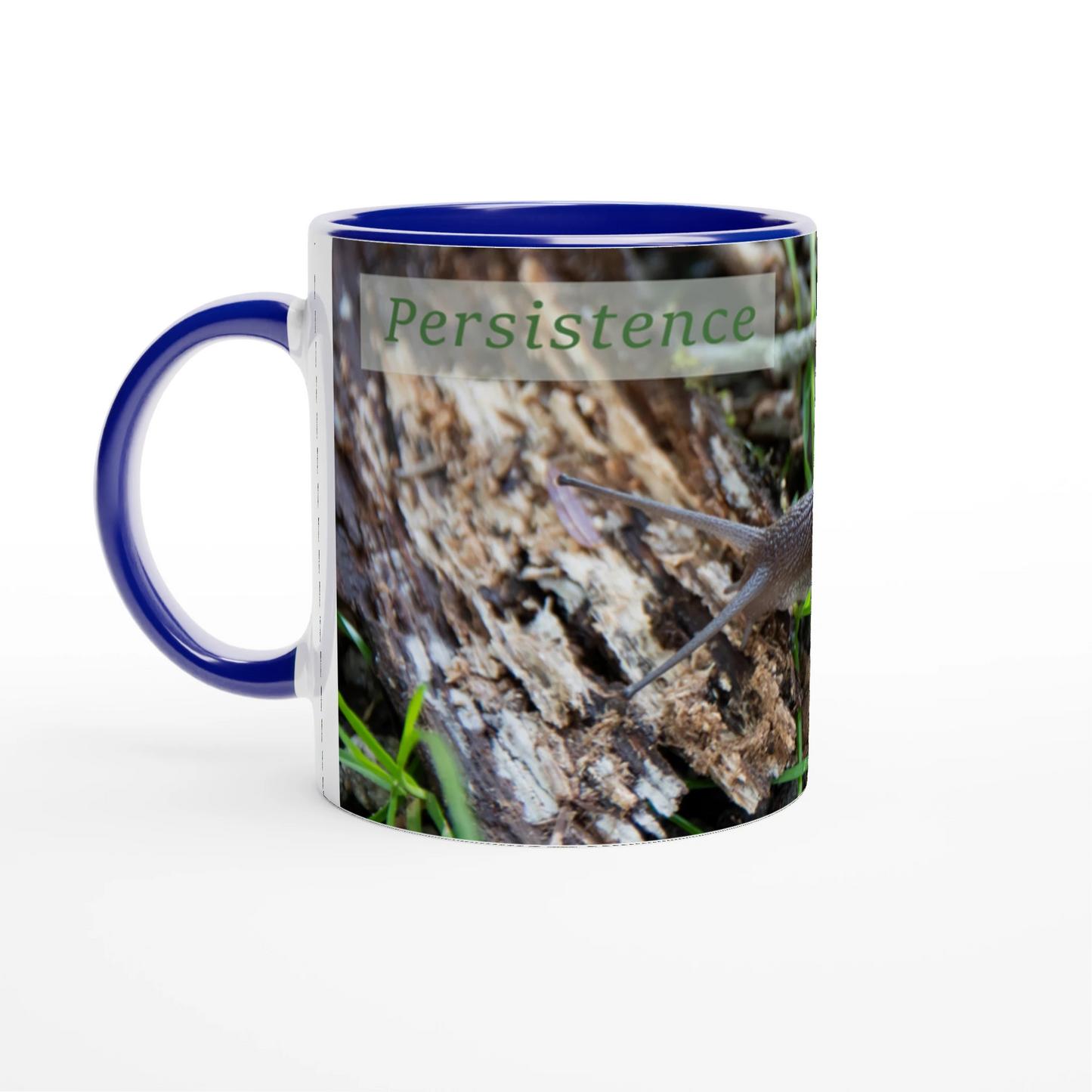 3c891a5b-9e43-4c6b-93cf-e93c73e3dba8