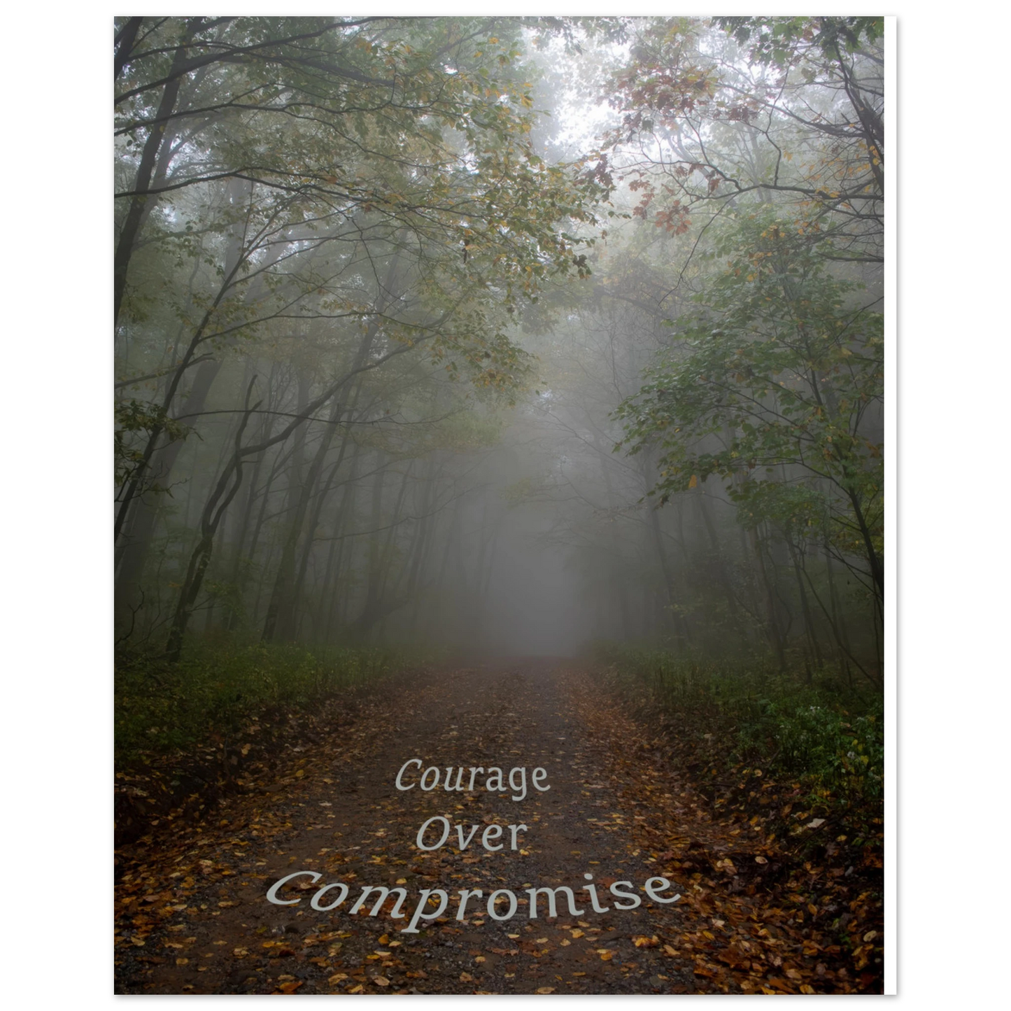 86aaef76-0664-45e2-87b0-560e37b3a950